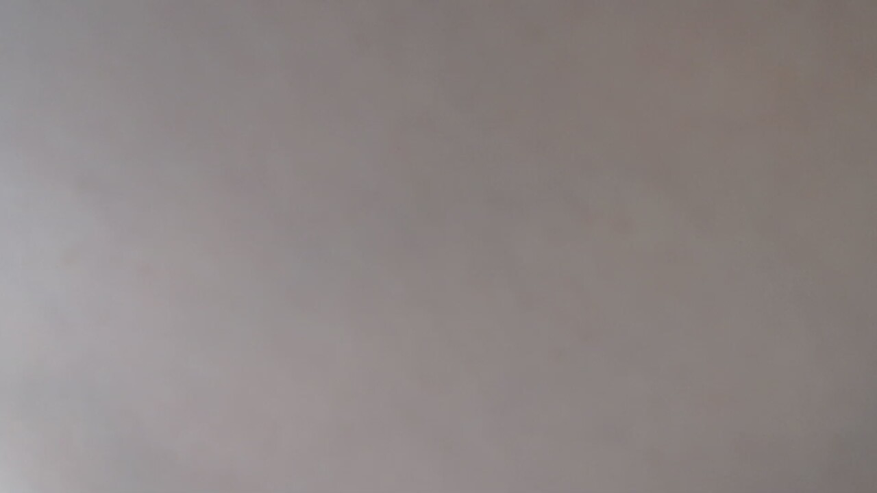 LaraLanee